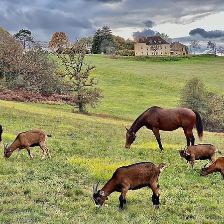 Domaine De Cazal - Chambres D'Hotes Avec Piscine Au Coeur De 26 Hectares De Nature Preservee Saint-Cyprien  Exterior foto