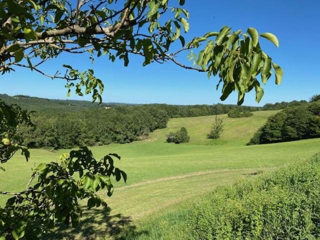 Domaine De Cazal - Chambres D'Hotes Avec Piscine Au Coeur De 26 Hectares De Nature Preservee Saint-Cyprien  Exterior foto